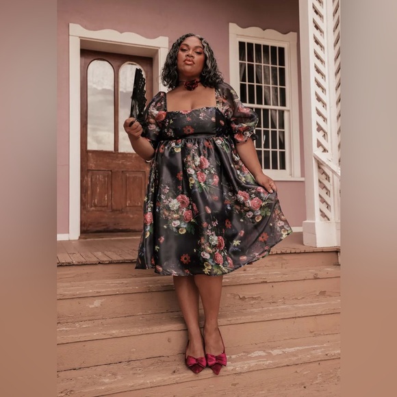 NWT JessaKae Polly Dress (2X) - Picture 4 of 12